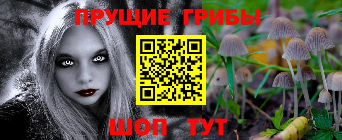 Псилоцибиновые грибы мицелий Кимовск