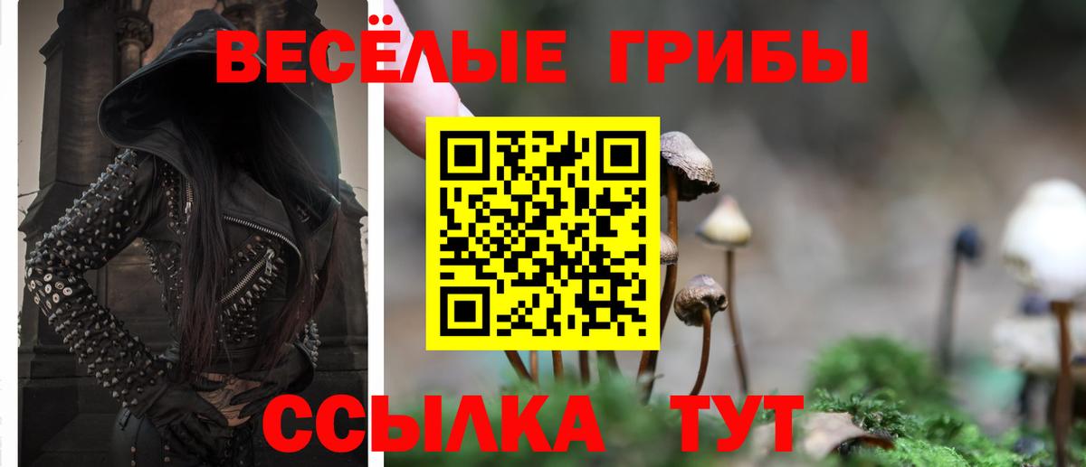 Кимовск  купить   Вход с VPN  Галлюциногенные грибы MAGIC MUSHROOMS  Псилоцибиновые грибы GOLDEN TEACHER 