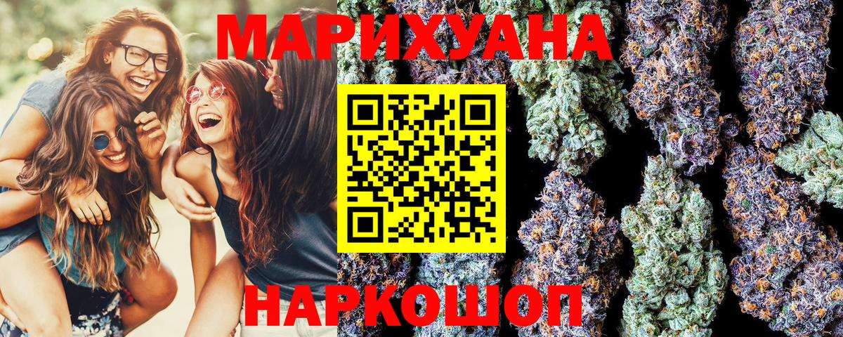 Канабис планчик Кимовск